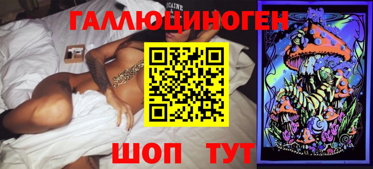 Псилоцибиновые грибы MAGIC MUSHROOMS  Псилоцибиновые грибы Psilocybine cubensis  Будённовск  Вход с VPN 