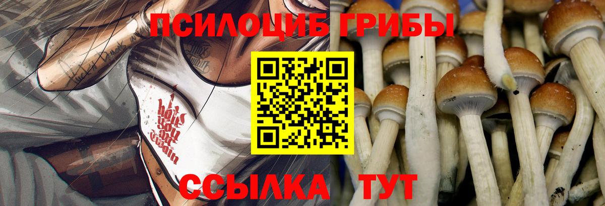 Псилоцибиновые грибы MAGIC MUSHROOMS Будённовск